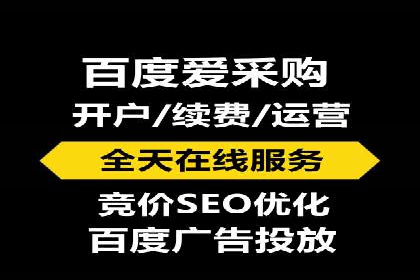 百度推广费用投入与品牌知名度提升的案例分析